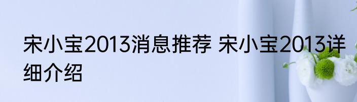 宋小宝2013消息推荐 宋小宝2013详细介绍