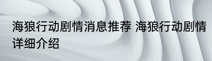 海狼行动剧情消息推荐 海狼行动剧情详细介绍