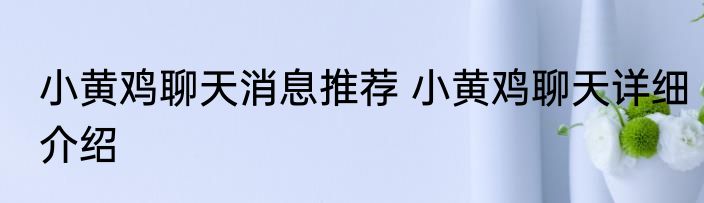 小黄鸡聊天消息推荐 小黄鸡聊天详细介绍