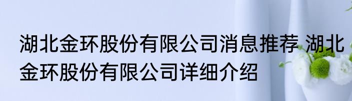 焰尾妖狐阿狸消息推荐 焰尾妖狐阿狸详细介绍