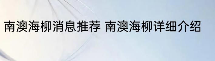 南澳海柳消息推荐 南澳海柳详细介绍