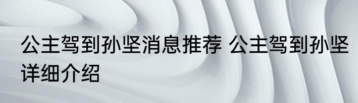 公主驾到孙坚消息推荐 公主驾到孙坚详细介绍
