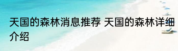 天国的森林消息推荐 天国的森林详细介绍