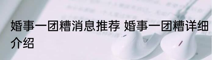 婚事一团糟消息推荐 婚事一团糟详细介绍