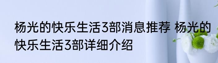 杨光的快乐生活3部消息推荐 杨光的快乐生活3部详细介绍
