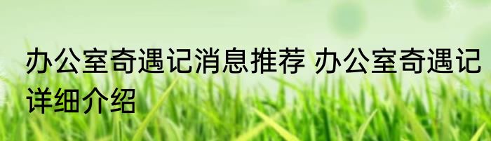 办公室奇遇记消息推荐 办公室奇遇记详细介绍