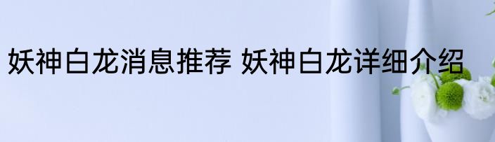 妖神白龙消息推荐 妖神白龙详细介绍