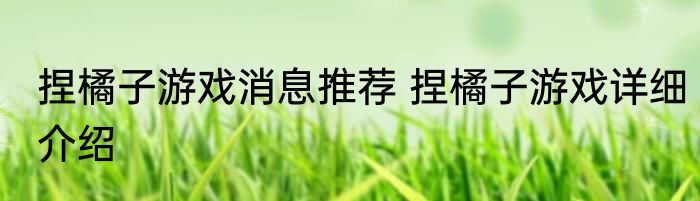 捏橘子游戏消息推荐 捏橘子游戏详细介绍
