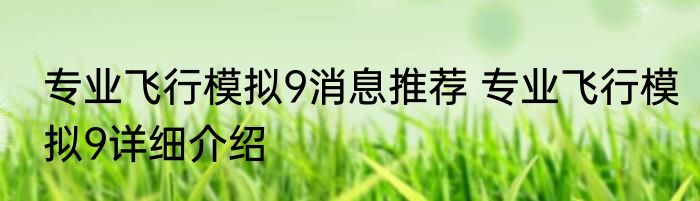 专业飞行模拟9消息推荐 专业飞行模拟9详细介绍