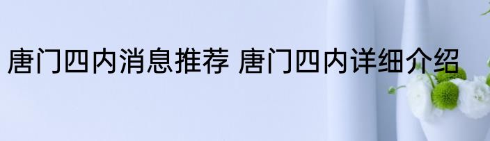 唐门四内消息推荐 唐门四内详细介绍