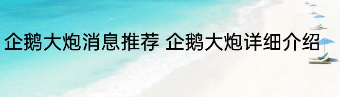 企鹅大炮消息推荐 企鹅大炮详细介绍