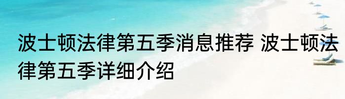 波士顿法律第五季消息推荐 波士顿法律第五季详细介绍