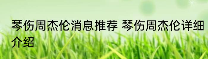 琴伤周杰伦消息推荐 琴伤周杰伦详细介绍