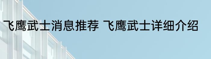 飞鹰武士消息推荐 飞鹰武士详细介绍