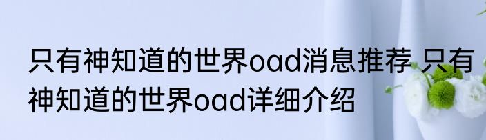 只有神知道的世界oad消息推荐 只有神知道的世界oad详细介绍