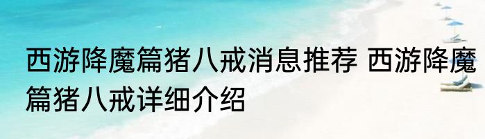 2013全明星消息推荐 2013全明星详细介绍