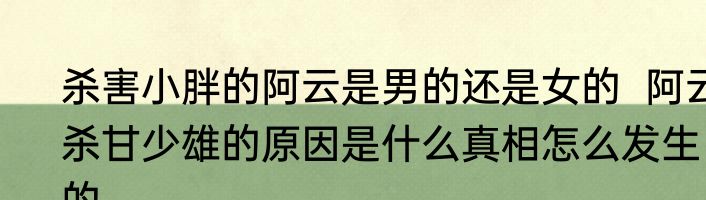 杀害小胖的阿云是男的还是女的  阿云杀甘少雄的原因是什么真相怎么发生的