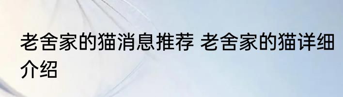 老舍家的猫消息推荐 老舍家的猫详细介绍