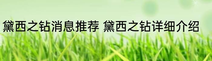 黛西之钻消息推荐 黛西之钻详细介绍