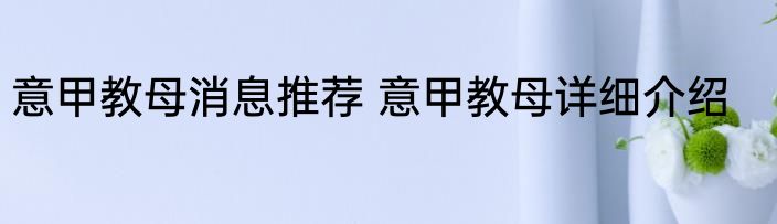 意甲教母消息推荐 意甲教母详细介绍