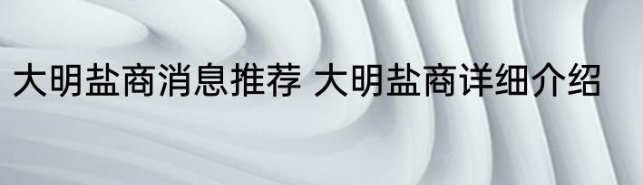 大明盐商消息推荐 大明盐商详细介绍