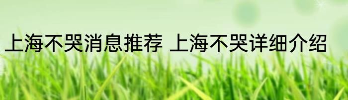 上海不哭消息推荐 上海不哭详细介绍