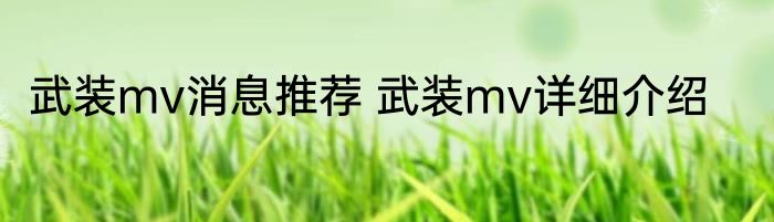 武装mv消息推荐 武装mv详细介绍