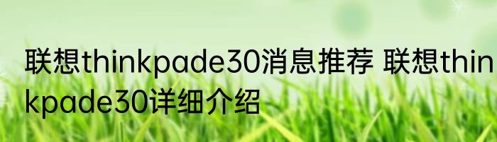 联想thinkpade30消息推荐 联想thinkpade30详细介绍