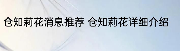 仓知莉花消息推荐 仓知莉花详细介绍