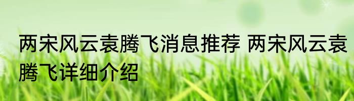 两宋风云袁腾飞消息推荐 两宋风云袁腾飞详细介绍