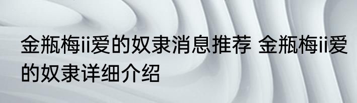 金瓶梅ii爱的奴隶消息推荐 金瓶梅ii爱的奴隶详细介绍