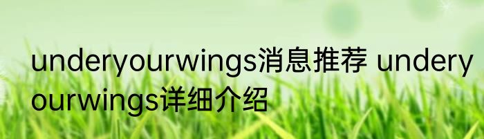 underyourwings消息推荐 underyourwings详细介绍
