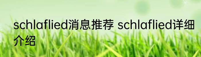 schlaflied消息推荐 schlaflied详细介绍