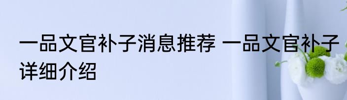 一品文官补子消息推荐 一品文官补子详细介绍