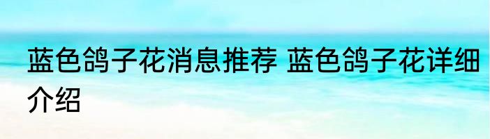 蓝色鸽子花消息推荐 蓝色鸽子花详细介绍