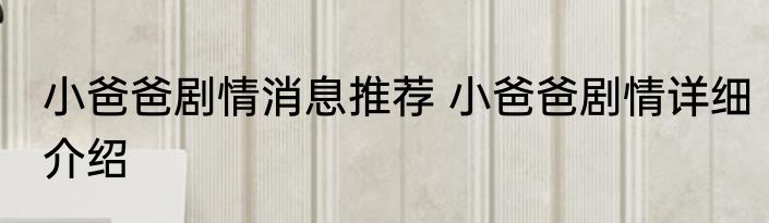 小爸爸剧情消息推荐 小爸爸剧情详细介绍