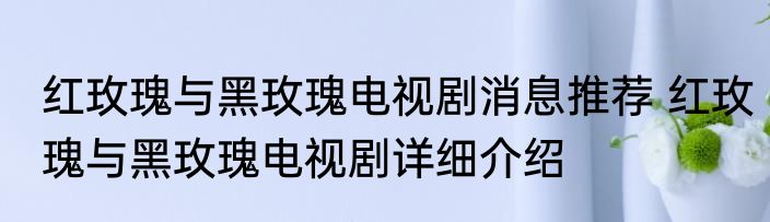 红玫瑰与黑玫瑰电视剧消息推荐 红玫瑰与黑玫瑰电视剧详细介绍
