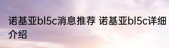 诺基亚bl5c消息推荐 诺基亚bl5c详细介绍