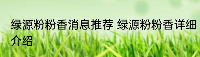 绿源粉粉香消息推荐 绿源粉粉香详细介绍