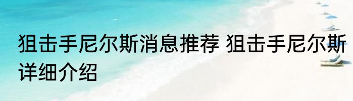 狙击手尼尔斯消息推荐 狙击手尼尔斯详细介绍