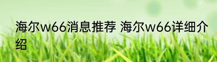 海尔w66消息推荐 海尔w66详细介绍
