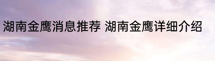 湖南金鹰消息推荐 湖南金鹰详细介绍