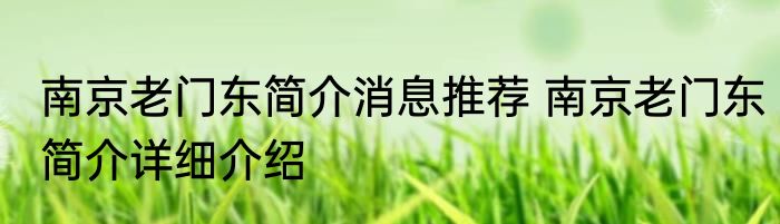 南京老门东简介消息推荐 南京老门东简介详细介绍