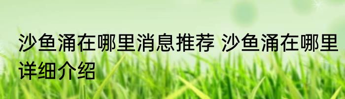 沙鱼涌在哪里消息推荐 沙鱼涌在哪里详细介绍