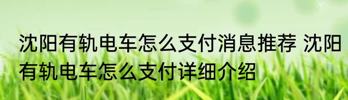 沈阳有轨电车怎么支付消息推荐 沈阳有轨电车怎么支付详细介绍