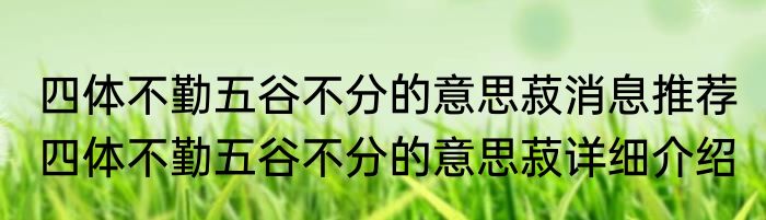 四体不勤五谷不分的意思菽消息推荐 四体不勤五谷不分的意思菽详细介绍