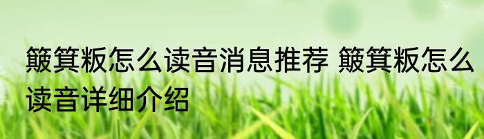 簸箕粄怎么读音消息推荐 簸箕粄怎么读音详细介绍