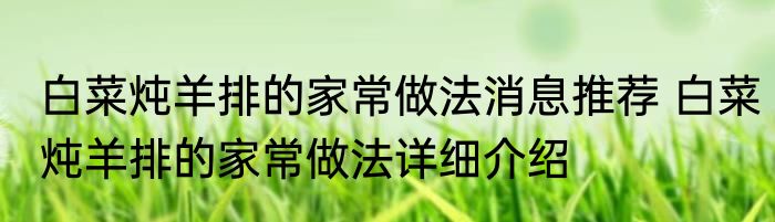 白菜炖羊排的家常做法消息推荐 白菜炖羊排的家常做法详细介绍