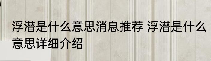浮潜是什么意思消息推荐 浮潜是什么意思详细介绍