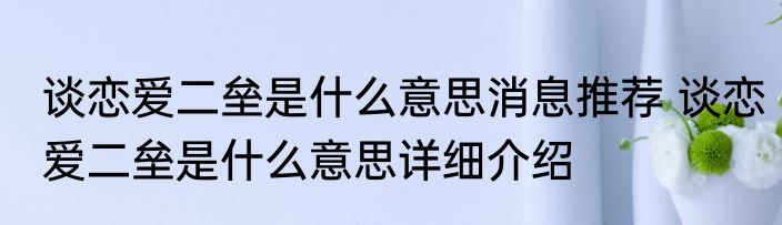 谈恋爱二垒是什么意思消息推荐 谈恋爱二垒是什么意思详细介绍